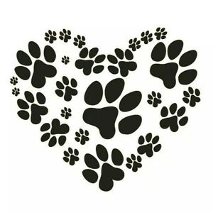 Meet your Posher, Laurajo